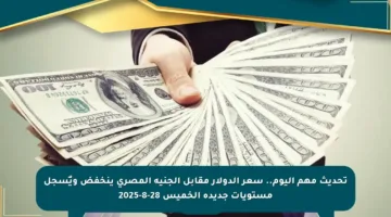 تحديث مهم اليوم.. سعر الدولار مقابل الجنيه المصري ينخفض ويٌسجل مستويات جديدة الخميس 28-8-2025